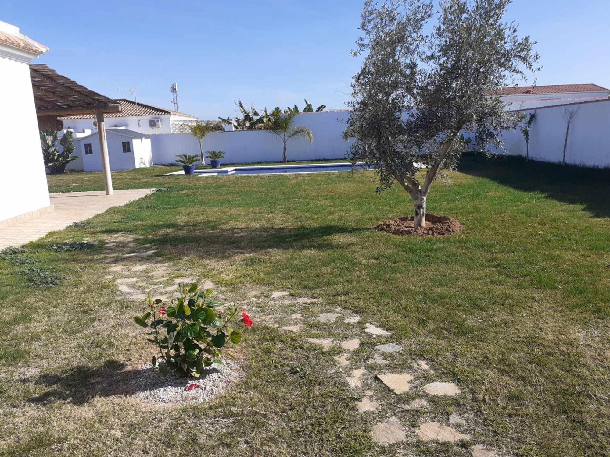 Las Casitas De La Barrosa Con Jardin Y Piscina Chiclana de la Frontera Zimmer foto