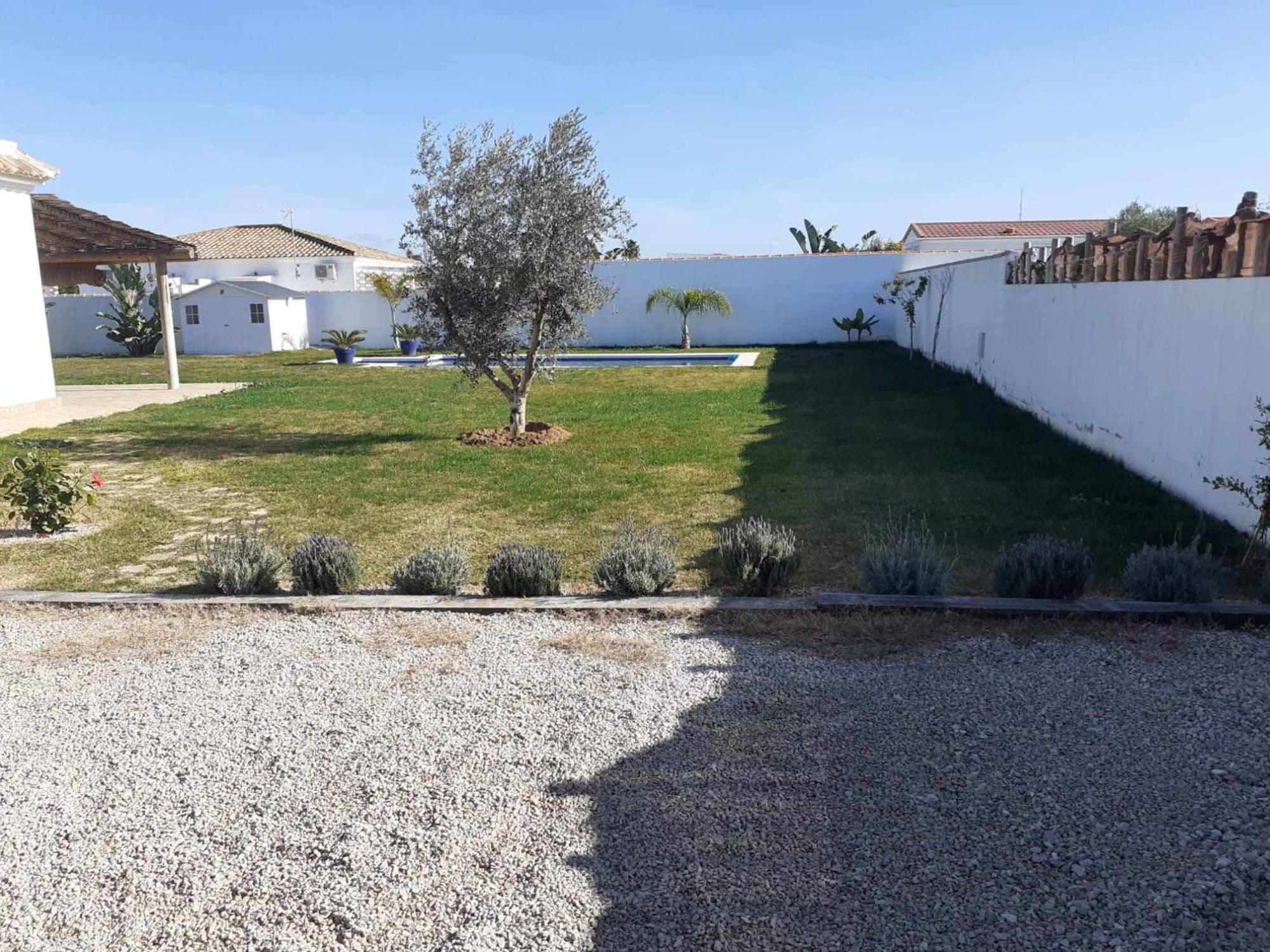 Las Casitas De La Barrosa Con Jardin Y Piscina Chiclana de la Frontera Zimmer foto